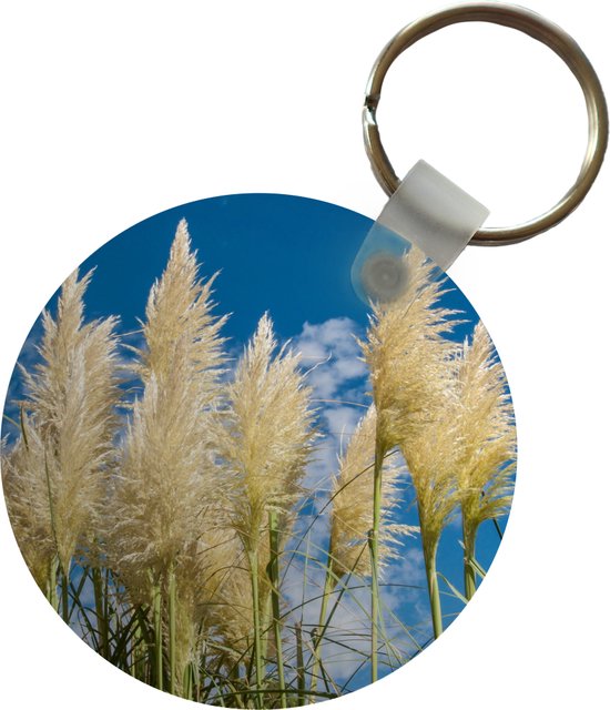Tuinposter - 100x100 cm - Pampasgras - Zand - Planten - Duin