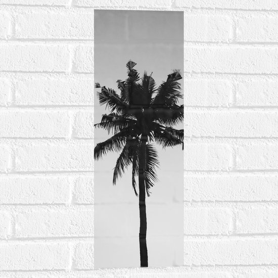 monteren Duizeligheid schraper WallClassics - Muursticker - Silhouet van Smalle Palmboom (zwart/wit) -  20x60 cm Foto... | bol.com