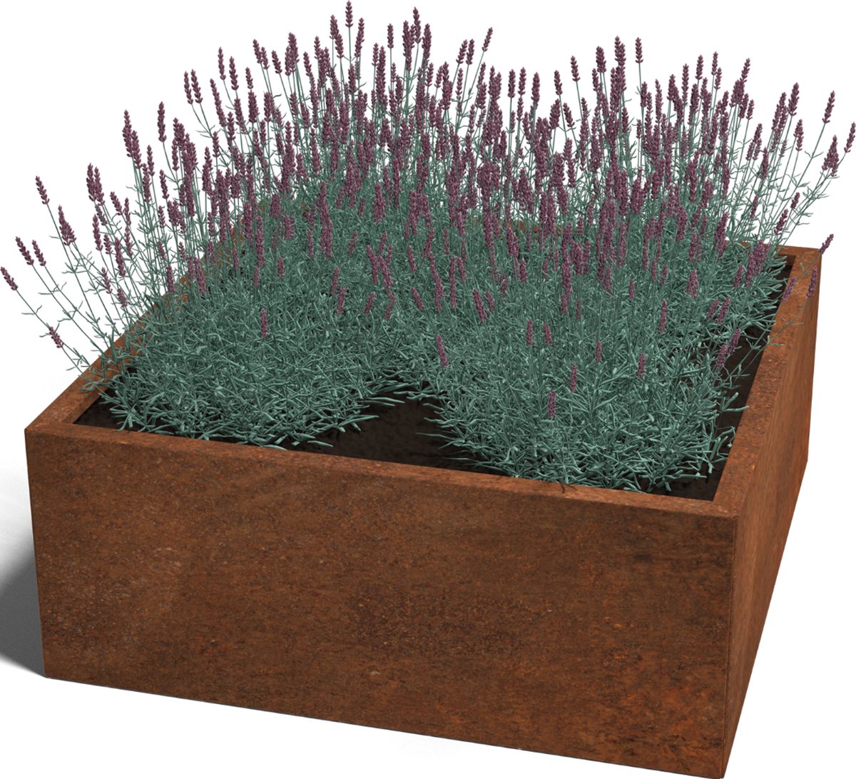 Cortenstaal plantenbak - Vierkant - 100x100x30cm - Roestkleur - Zonder bodem - MySteel