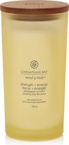 Chesapeake Bay Strength & Energy - Pineapple Coconut Large Candle