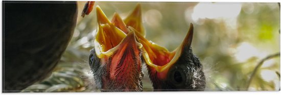 WallClassics - Vlag - Baby Vogeltjes Krijgen Eten - 60x20 cm Foto op Polyester Vlag