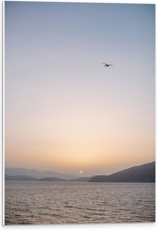 WallClassics - PVC Schuimplaat- Vogel boven de Zee met Bergen bij Maan - 40x60 cm Foto op PVC Schuimplaat