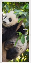 Deurposter 95x235 cm - Deursticker Panda - Dier - Boom - Meubelfolie zelfklevend - Deurfolie woonkamer - Interieurfolie fotobehang - Deur plakfolie - Deurstickers - Deurbehang sticker - Kamer decoratie