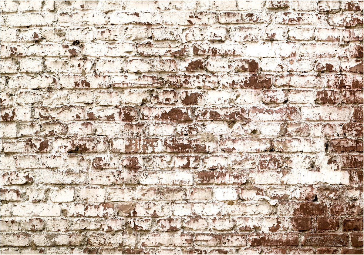 Fotobehang - Vestige of Time.