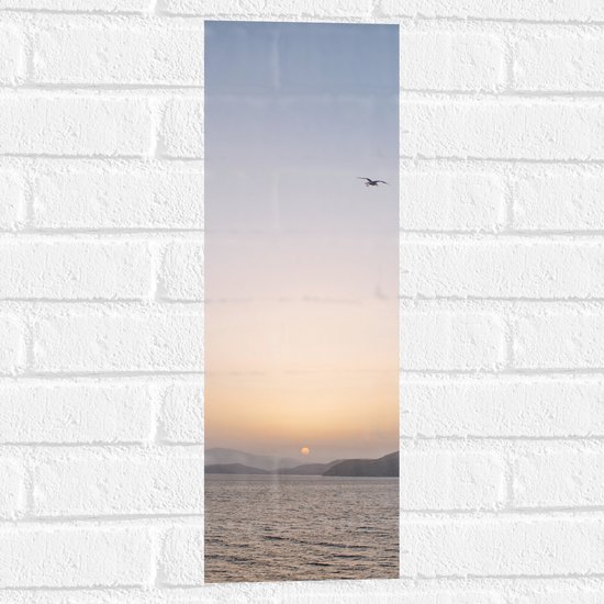 WallClassics - Muursticker - Vogel boven de Zee met Bergen bij Maan - 20x60 cm Foto op Muursticker