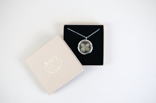 FynBosch Design Droog Bloemen Ketting Zilver Rond - Sierraden Verrassing - Natuurlijk - Surprise Flower Necklace