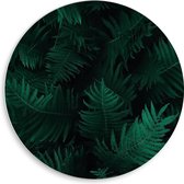 WallClassics - Cercle mural en panneau de mousse PVC - Groupe de feuilles vertes - Photo 50 x 50 cm sur cercle mural (avec système de suspension)