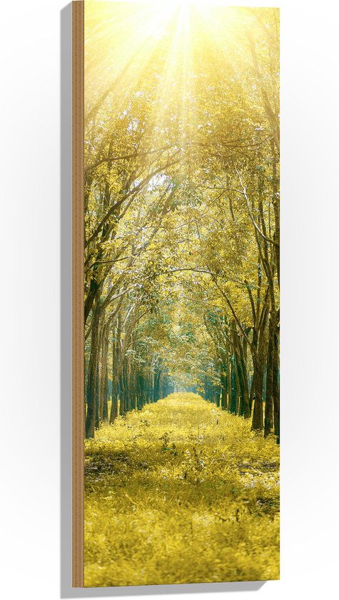 WallClassics - Hout - Felle Zonnestralen op Bospaadje - 30x90 cm - 12 mm dik - Foto op Hout (Met Ophangsysteem)