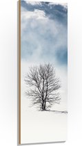 WallClassics - Hout - Kale Eenzame Boom in Sneeuwlandschap - 50x150 cm - 12 mm dik - Foto op Hout (Met Ophangsysteem)