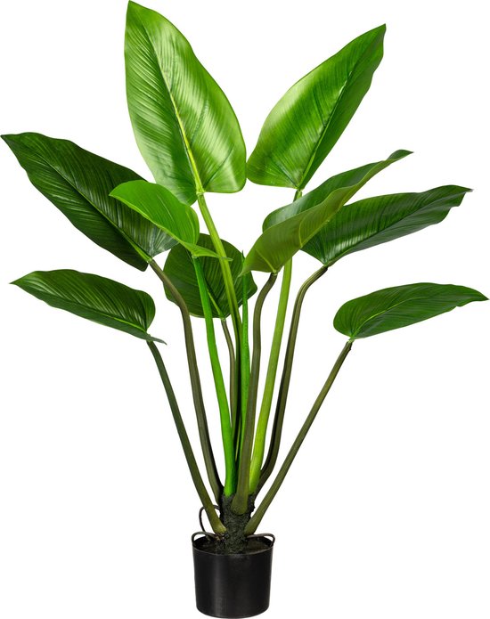 Kopu® Kunstplant Agave 80 cm in zwarte Pot - 2 stammen - Nepplant