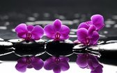 Broderie Diamond 40x50cm - orchidée sur l'eau avec pierres - pierres rondes