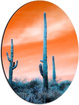 WallClassics - Dibond Ovaal - Cactussen in Veld onder Oranje Lucht - 30x40 cm Foto op Ovaal (Met Ophangsysteem)