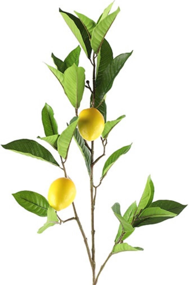 Kunstplant Enkianthus 150 cm -Easyplants Kunstplanten