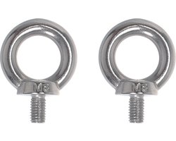 Oogbout Rvs 316 M10 DIN 580 - 2 stuks
