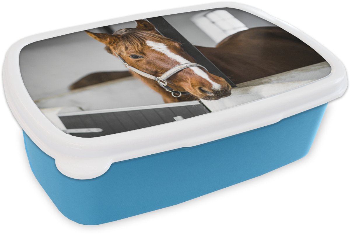 Broodtrommel Blauw - Lunchbox - Brooddoos - Paard- Bruin - Stal - 18x12x6 cm - Kinderen - Jongen