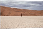 WallClassics - PVC Schuimplaat- Eenzame Boom in de Woestijn - 120x80 cm Foto op PVC Schuimplaat