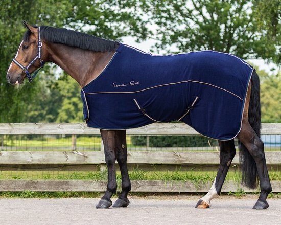 Bruin paard met een donkerblauwe deken met gouden bies en opdruk 'Equestrian Sports'.