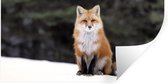 Stickers muraux - Renard - Neige - Rouge - 120x60 cm - Feuille adhésive