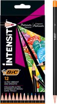 Crayons de couleur BIC Intensity, 12pcs.