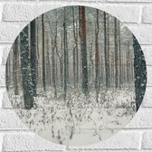 WallClassics - Muursticker Cirkel - Vallende Sneeuwvlokken in het Bos - 50x50 cm Foto op Muursticker