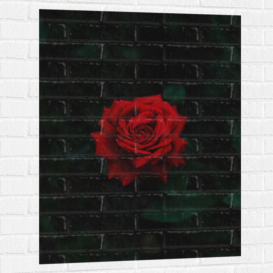 WallClassics - Muursticker - Prachtige Rode Roos - 75x100 cm Foto op Muursticker