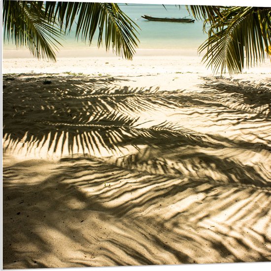 WallClassics - PVC Schuimplaat- Mooie Schaduw van Palmboom in het Zand - 80x80 cm Foto op PVC Schuimplaat