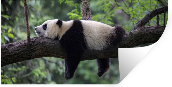 Muursticker Panda als Astronaut