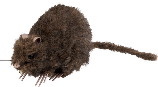 Boland - Decoratie Rat - Horror - Horror