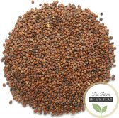 Radijs China Rose Kiemzaden 250 g - Biologisch | Microgreen/Microgroenten zaden | Raphanus sativus | Radijs kers | Plastic vrij verpakt