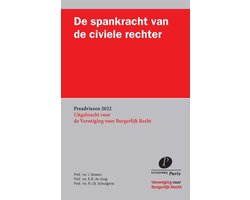 Preadviezen Vereniging voor Burgerlijk Recht - De spankracht van de civiele rechter