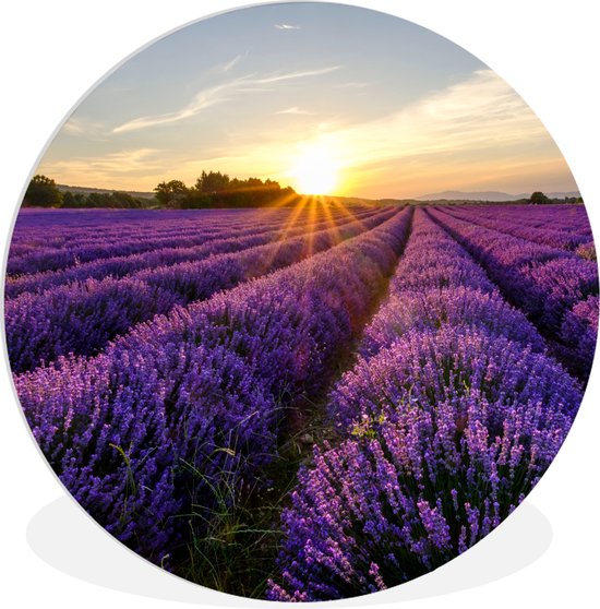 MuchoWow - Cercle mural - Plastique - Lavande - Soleil - Paysage - Fleurs - Cercle mural - Tableaux ronds - Tableau rond - 60x60 cm - Cercle mural intérieur - Décoration murale - Décoration Décoration murale ronde