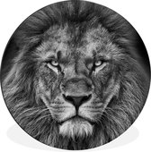 WallCircle - Cercle Mural - Cercle Mural - Animaux - Lion - Zwart - Wit - Portrait - Aluminium - Dibond - 60x60 cm - Intérieur et Extérieur