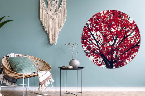 WallCircle - Wall Circle - Wall Circle Indoor - Esdoorn - Feuilles - Automne - Nature - 120x120 cm - Décoration murale - Peintures Ronds XXL