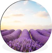 WallCircle - Wandcirkel - Muurcirkel - Lavendel - Lucht - Wolken - Bloemen - Aluminium - Dibond - ⌀ 90 cm - Binnen en Buiten