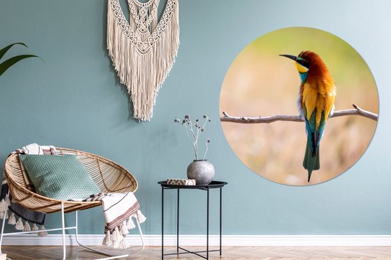 WallCircle - Cercle Mural - Cercle Mural - Vogels - Guêpier - Animaux - Aluminium - Dibond - 140x140 cm - Intérieur et Extérieur