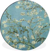 WallCircle - Wandcirkel - Muurcirkel - Van Gogh - Amandelbloesem - Oude meesters - Kunst - Vintage - Aluminium - Dibond - ⌀ 30 cm - Binnen en Buiten