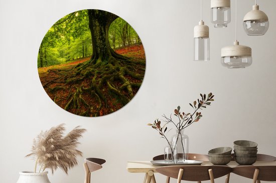 WallCircle - Wall Circle - Wall Circle Indoor - Arbre - Forêt - Feuilles d'Automne - 120x120 cm - Décoration murale - Peintures Ronds XXL