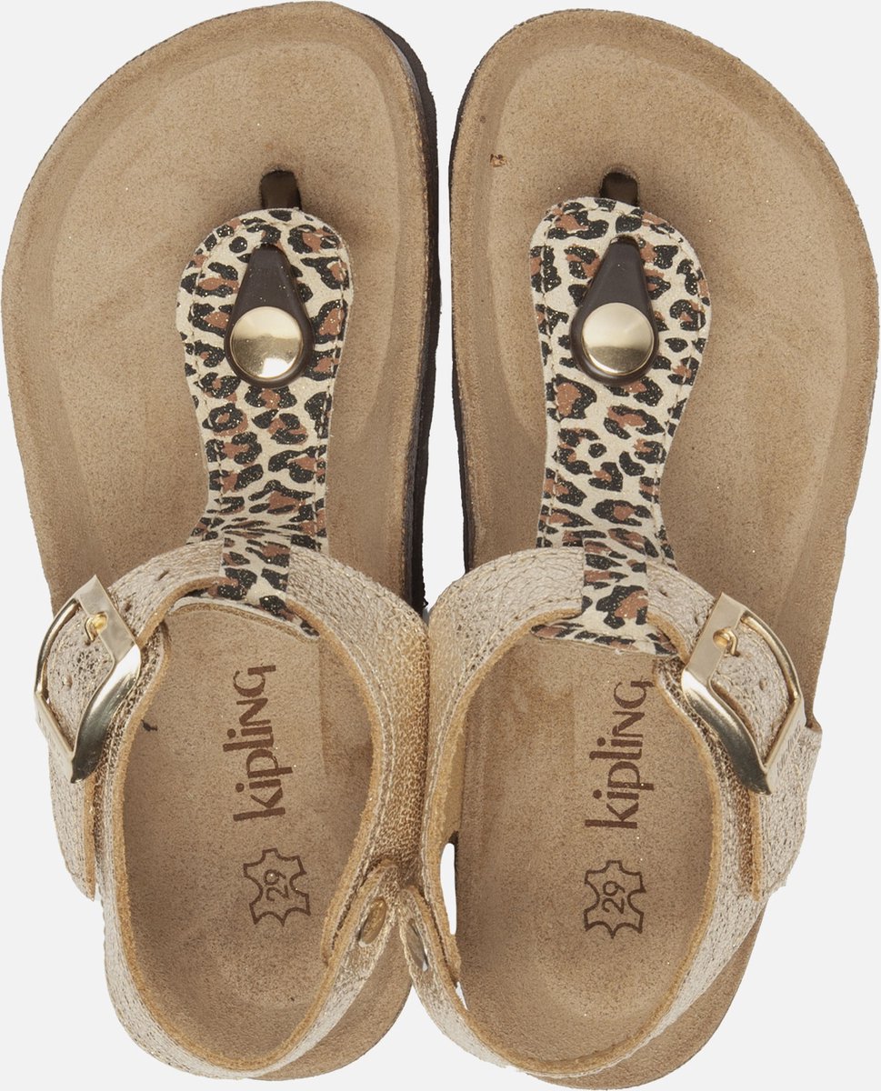 Norella 3 sandalen goud - Heren - Maat 38