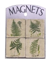 Magneetjes Varens (set van 4) 4,5x1x4,5cm