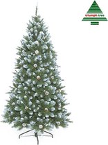 Triumph Tree - Empress kerstboom groen frosted TIPS 1024 - h215xd119cm- Kerstbomen