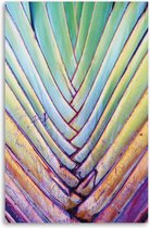 Made on Friday -  Color Palm Leaf 40 x 50  cm -  ( 250 gr./m2)