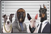 Poster Most Wanted Dogs