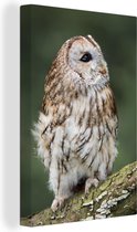Canvas schilderij 90x140 cm - Wanddecoratie Een opzij kijkende bosuil - Muurdecoratie woonkamer - Slaapkamer decoratie - Kamer accessoires - Schilderijen