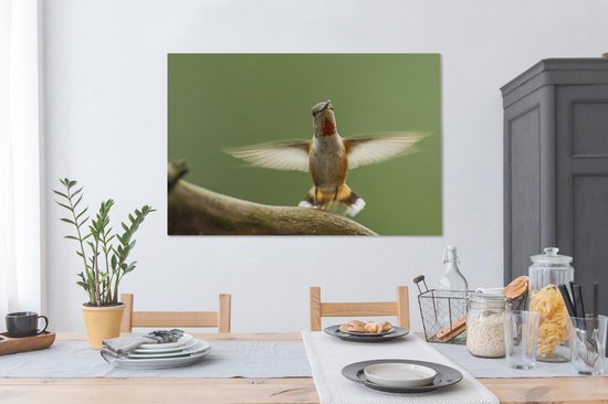 Un colibri calliope sur une branche Toile 140x90 cm - Tirage photo sur toile (Décoration murale salon / chambre)