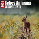 Calendrier 2021 Bebes Animaux