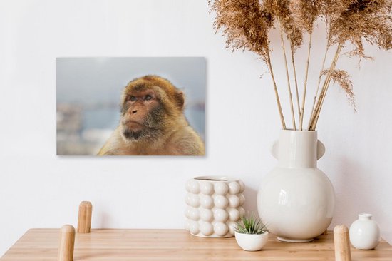 Portrait de Macaque de Barbarie sur toile 30x20 cm - petit - Tirage photo sur toile (Décoration murale salon / chambre) / Peintures sur toile Animaux
