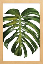 JUNIQE - Poster in houten lijst Monstera foto -20x30 /Groen & Wit