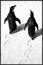 JUNIQE - Poster met kunststof lijst Wandelende pinguïns -13x18 /Wit &