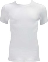 Apollo Heren Shirt O-Neck 2-pack Wit Maat S - T-shirts 95% Katoen