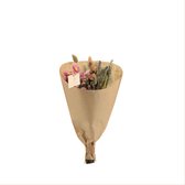 We Love Plants - Droogbloemen Field Bouquet Small Pink - 35 cm hoog - Dried flowers